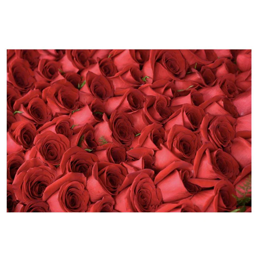 Kentucky Derby Winner's Rose Blanket by Dan Dry